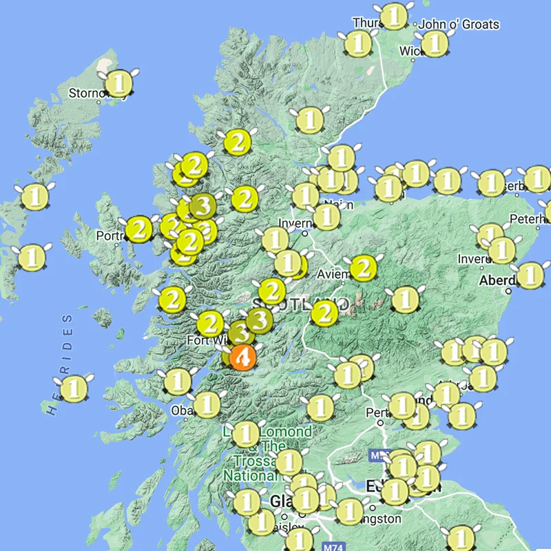 Perfect weather for a ballgame and midges?